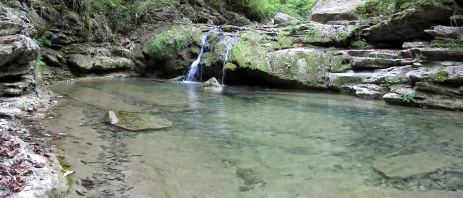 Gaudeix del Paissatge